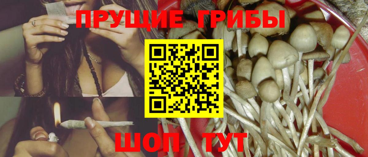 Псилоцибиновые грибы Magic Shrooms Благодарный