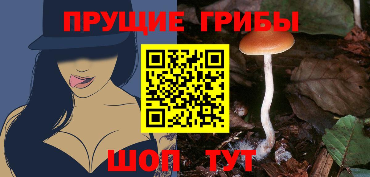 Галлюциногенные грибы мухоморы  Вход с VPN  Псилоцибиновые грибы Magic Shrooms  как найти закладки  Благодарный 